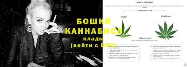 ПСИЛОЦИБИНОВЫЕ ГРИБЫ Балабаново