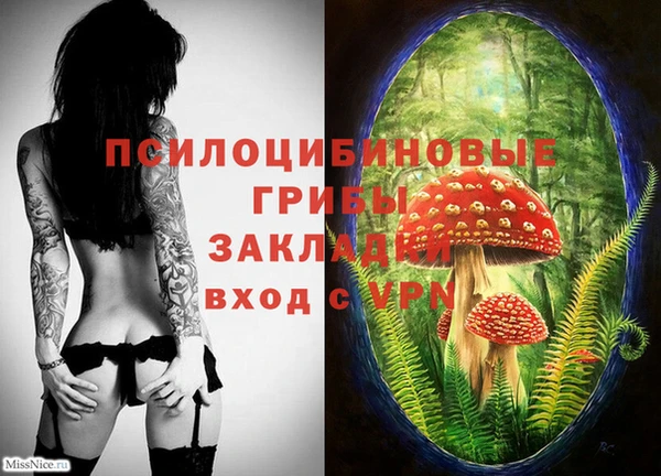ПСИЛОЦИБИНОВЫЕ ГРИБЫ Балабаново