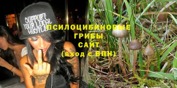 ПСИЛОЦИБИНОВЫЕ ГРИБЫ Балабаново