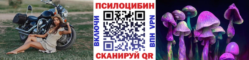 Галлюциногенные грибы MAGIC MUSHROOMS  Купить  Спас-Клепики 